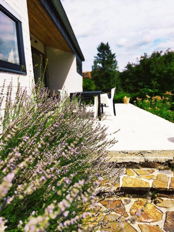 Le Clos des 3 - Vacances avec vue en Ardennes à 5 kilomètres de La Roche - MAISON 2 CHAMBRES Rendeux Exterior foto