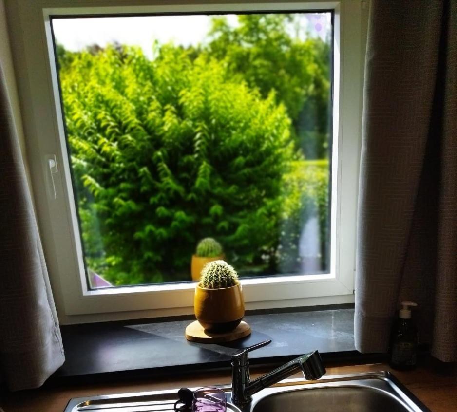 Le Clos des 3 - Vacances avec vue en Ardennes à 5 kilomètres de La Roche - MAISON 2 CHAMBRES Rendeux Exterior foto