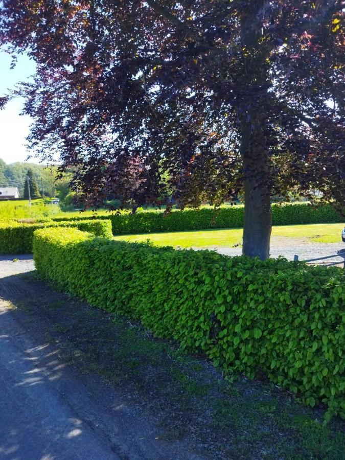 Le Clos des 3 - Vacances avec vue en Ardennes à 5 kilomètres de La Roche - MAISON 2 CHAMBRES Rendeux Exterior foto